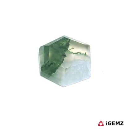 3.21 ct Green Moss Agate - iGemz24276