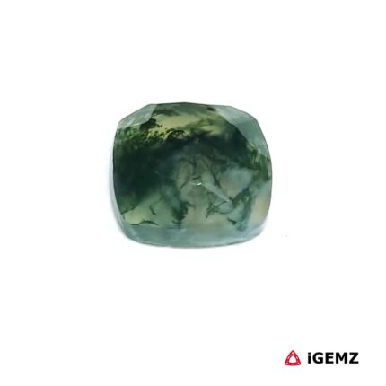 3.96 ct Green Moss Agate - iGemz24278