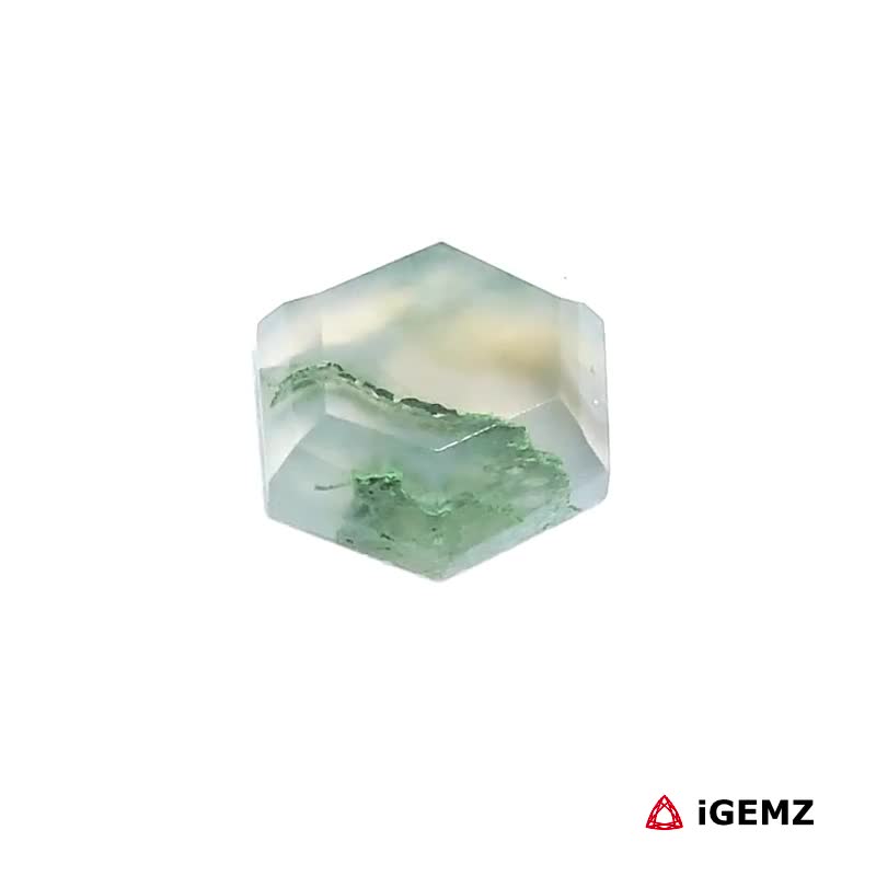 iGemz24281.1 3.25 ct Green Moss Agate - iGemz24281
