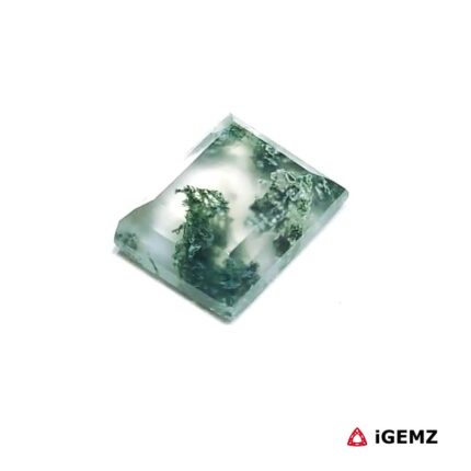 3.23 ct Green Moss Agate - iGemz24286