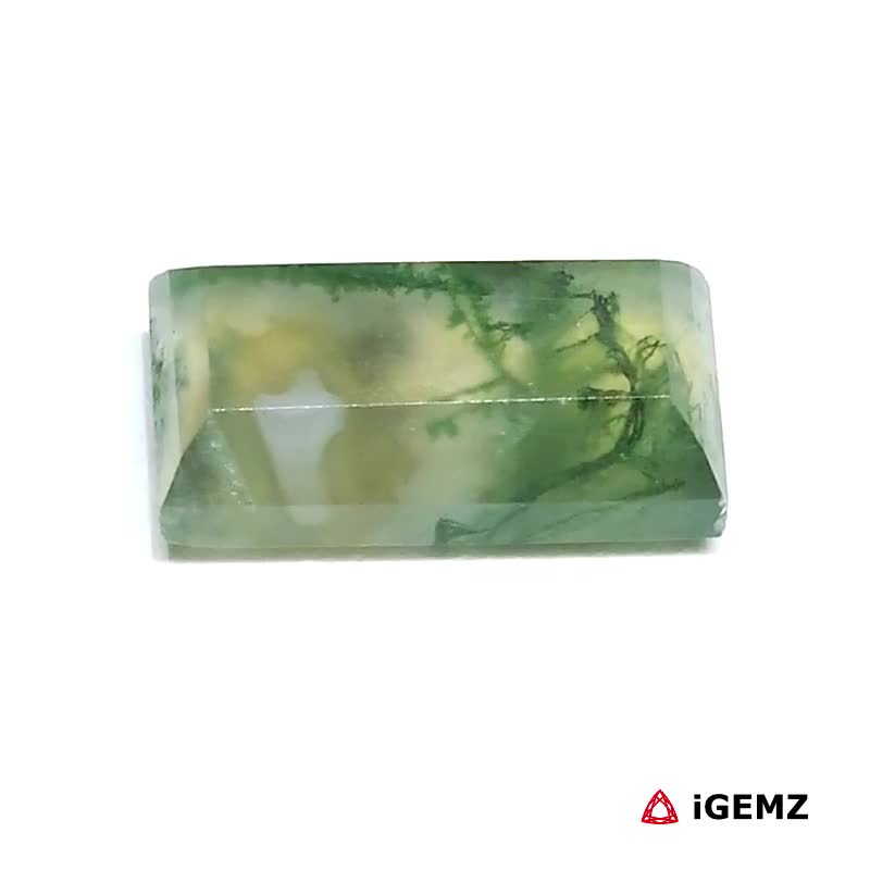 iGemz24288.1 7.18 ct Green Moss Agate - iGemz24288 gemstone for sale at igemz.co.za