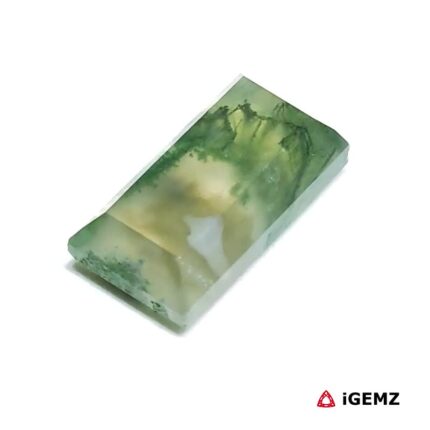 7.18 ct Green Moss Agate - iGemz24288 gemstone for sale at igemz.co.za