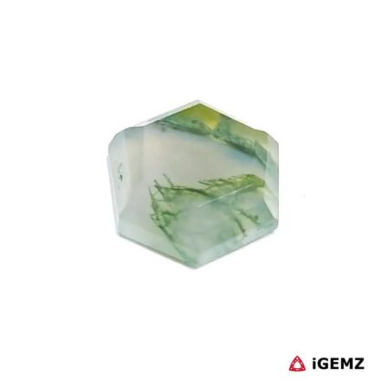 4 ct Green Moss Agate - iGemz24291