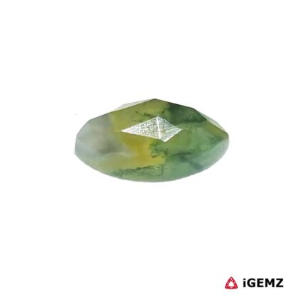 2.56 ct Green Moss Agate - iGemz24292