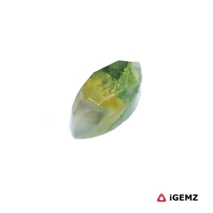 2.56 ct Green Moss Agate - iGemz24292