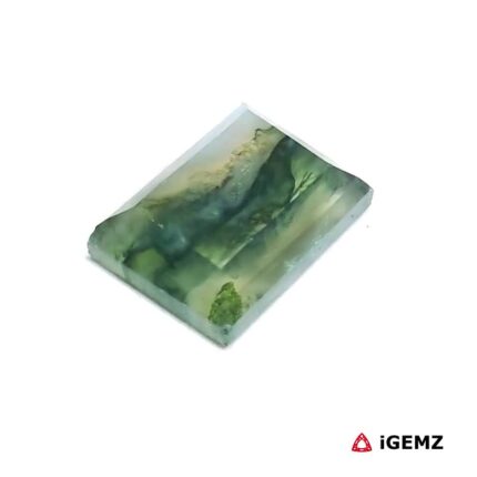 4.85 ct Green Moss Agate - iGemz24293