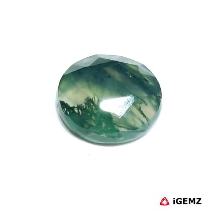 4.9 ct Green Moss Agate - iGemz24297