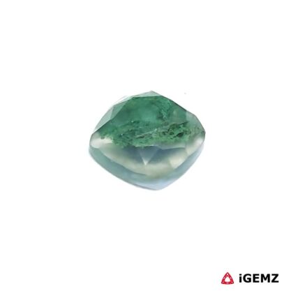 2.17 ct Green Moss Agate - iGemz24300 gemstone for sale at igemz.co.za
