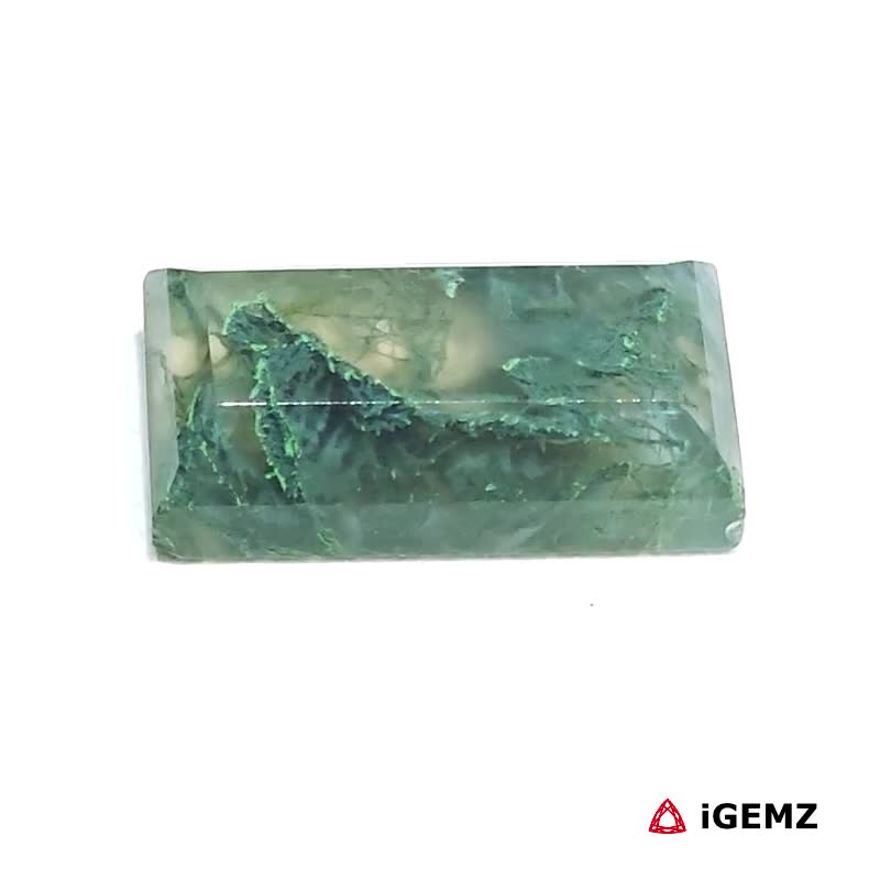 iGemz24302.1 7 ct Green Moss Agate - iGemz24302