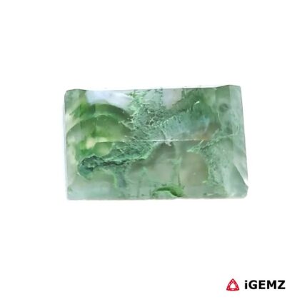 6.2 ct Green Moss Agate - iGemz24310