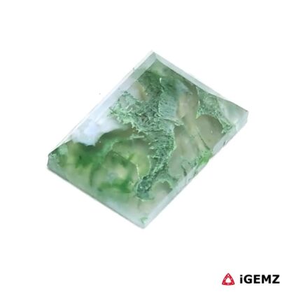 6.2 ct Green Moss Agate - iGemz24310