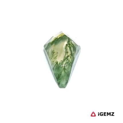 2.3 ct Green Moss Agate - iGemz24312