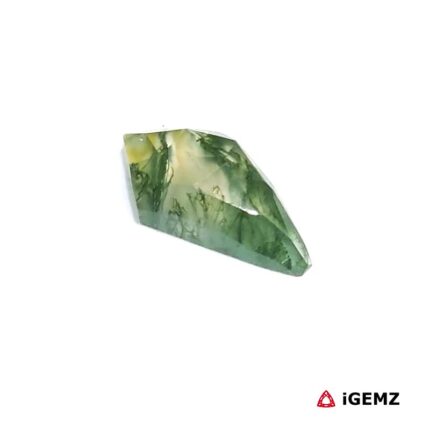 2.3 ct Green Moss Agate - iGemz24312