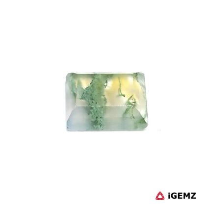 2.2 ct Green Moss Agate - iGemz24325