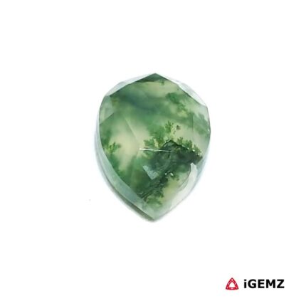 4.39 ct Green Moss Agate - iGemz24326
