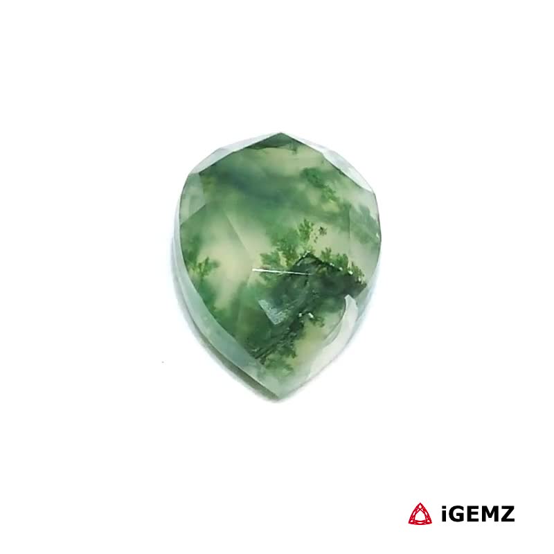 iGemz24326.1 4.39 ct Green Moss Agate - iGemz24326