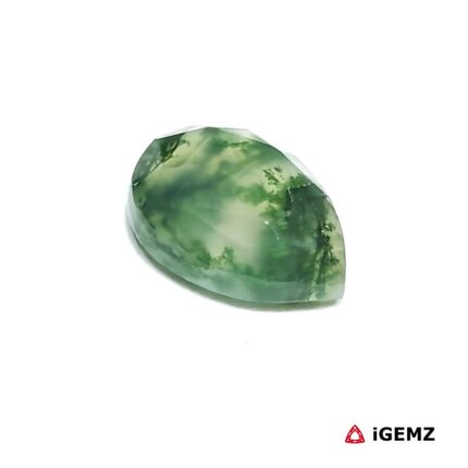 4.39 ct Green Moss Agate - iGemz24326