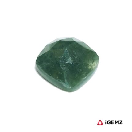 4.16 ct Green Moss Agate - iGemz24342 gemstone for sale at igemz.co.za
