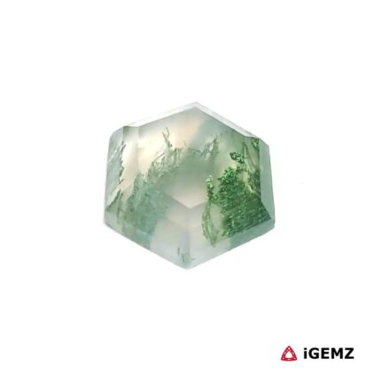 4.15 ct Green Moss Agate - iGemz24345 gemstone for sale at igemz.co.za
