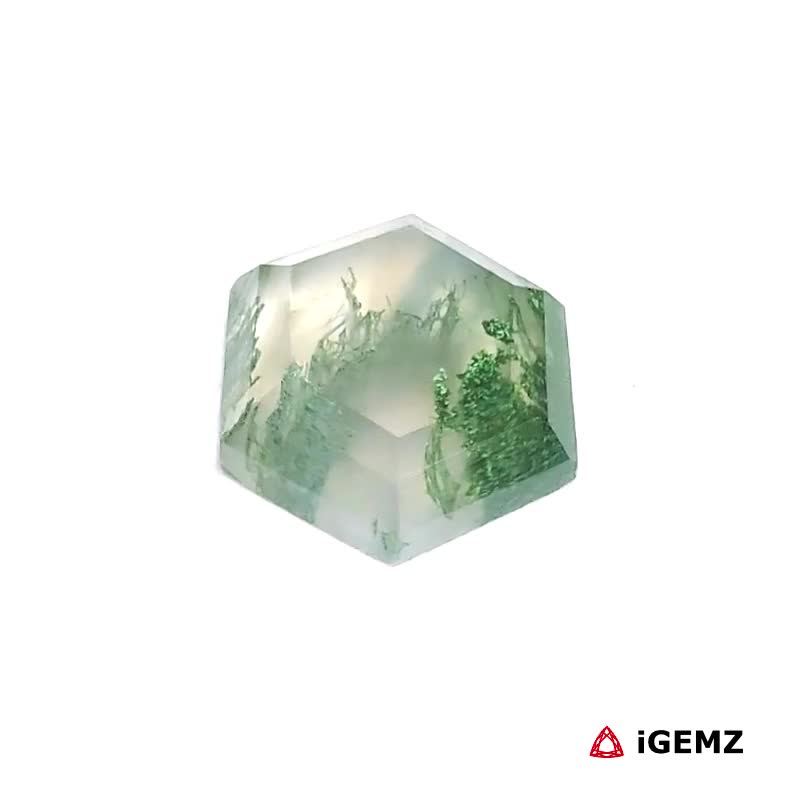 iGemz24345.1 4.15 ct Green Moss Agate - iGemz24345 gemstone for sale at igemz.co.za