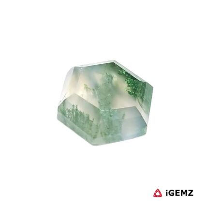 4.15 ct Green Moss Agate - iGemz24345 gemstone for sale at igemz.co.za