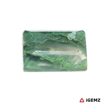 6.27 ct Green Moss Agate - iGemz24351 gemstone for sale at igemz.co.za