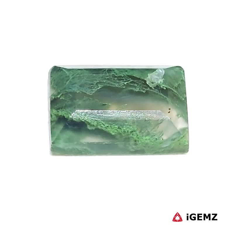 iGemz24351.1 6.27 ct Green Moss Agate - iGemz24351 gemstone for sale at igemz.co.za