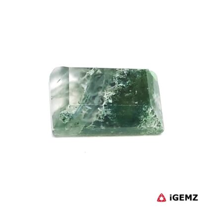 4.19 ct Green Moss Agate - iGemz24352