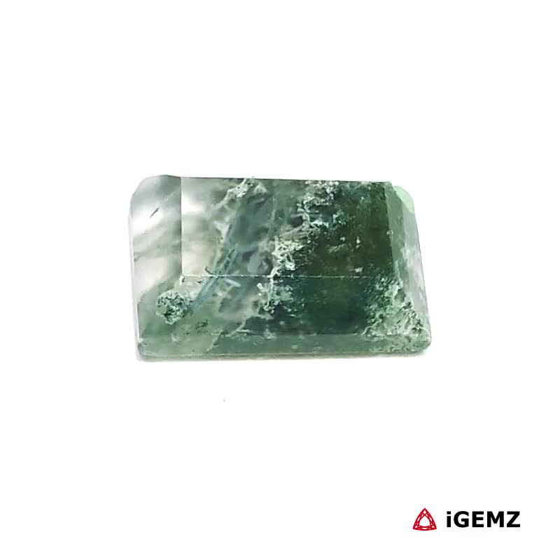 iGemz24352.1 4.19 ct Green Moss Agate - iGemz24352