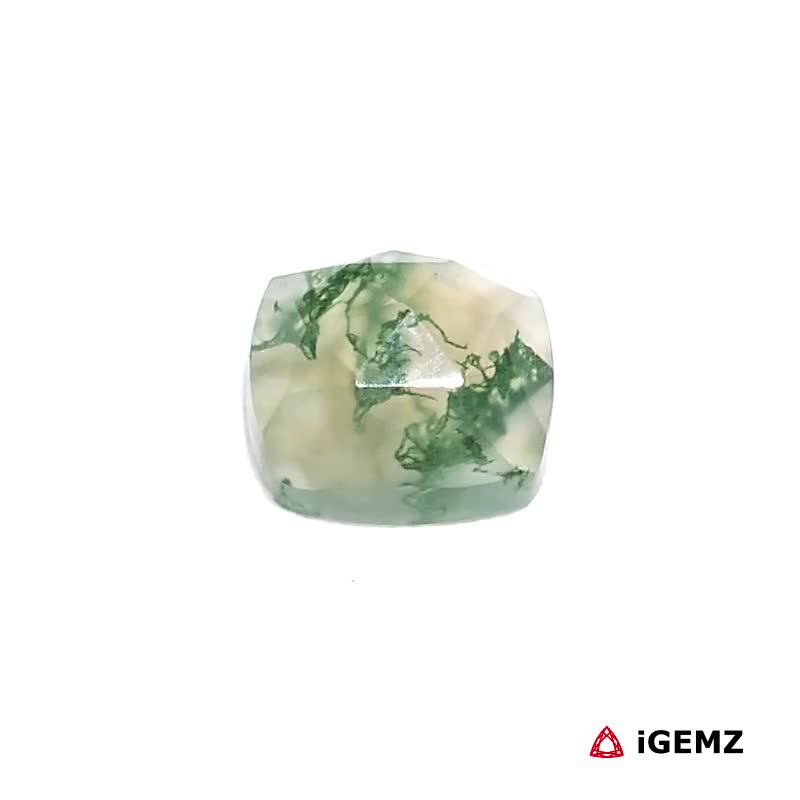 iGemz24358.1 3 ct Green Moss Agate - iGemz24358 gemstone for sale at igemz.co.za