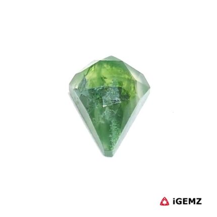 3.27 ct Green Moss Agate - iGemz24360