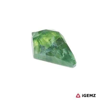 3.27 ct Green Moss Agate - iGemz24360