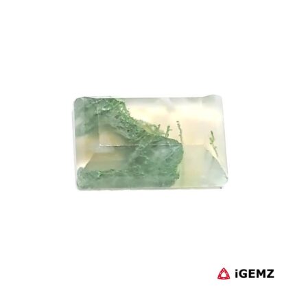 4 ct Green Moss Agate - iGemz24362