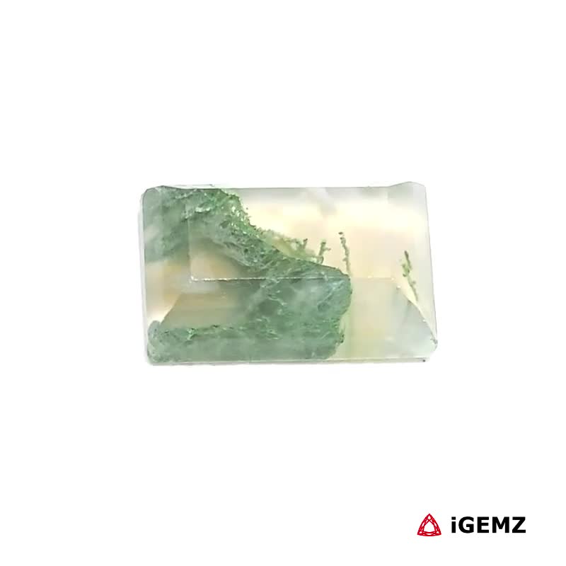 iGemz24362.1 4 ct Green Moss Agate - iGemz24362
