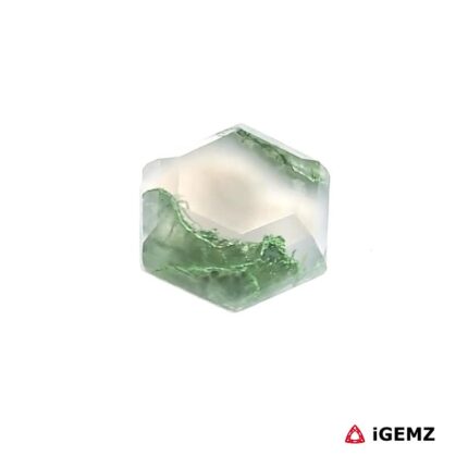 3.11 ct Green Moss Agate - iGemz24366