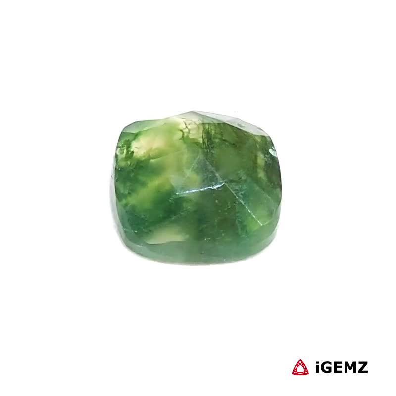 iGemz24368.1 3.93 ct Green Moss Agate - iGemz24368