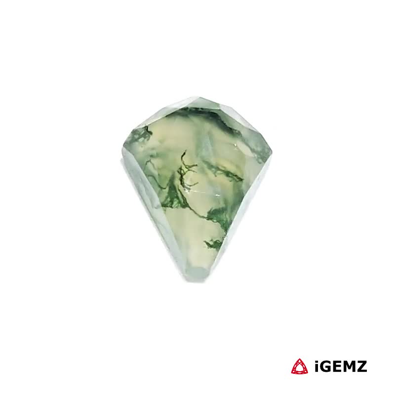 iGemz24372.1 3.28 ct Green Moss Agate - iGemz24372