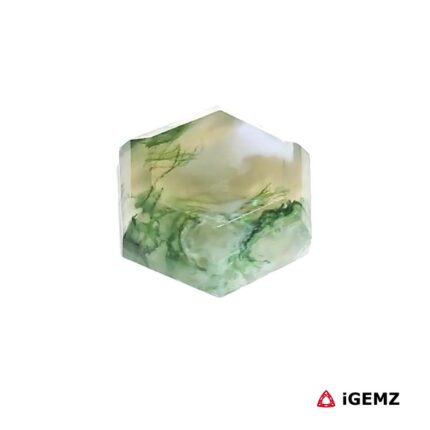 4.28 ct Green Moss Agate - iGemz24387