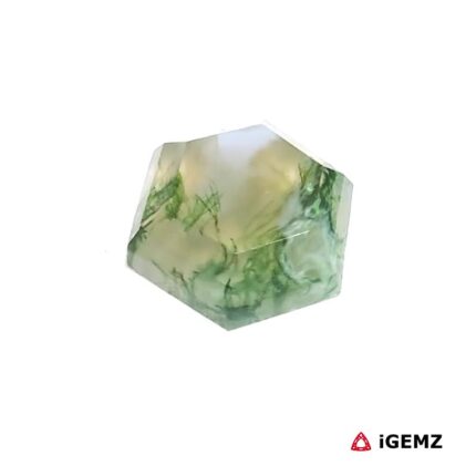 4.28 ct Green Moss Agate - iGemz24387