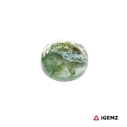 2.23 ct Green Moss Agate - iGemz24388 gemstone for sale at igemz.co.za