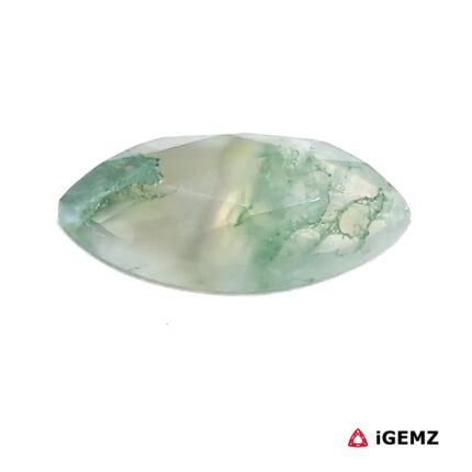 5.49 ct Green Moss Agate - iGemz24393