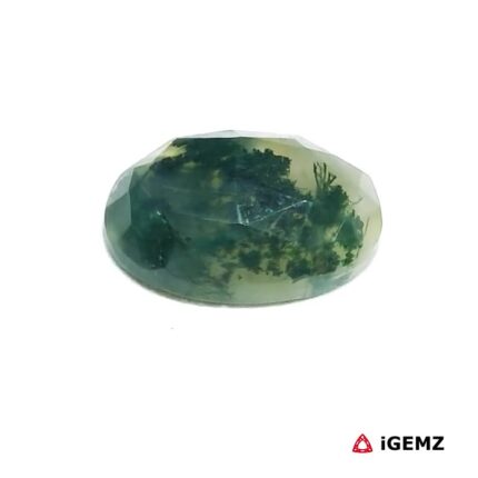 5.3 ct Green Moss Agate - iGemz24395 gemstone for sale at igemz.co.za