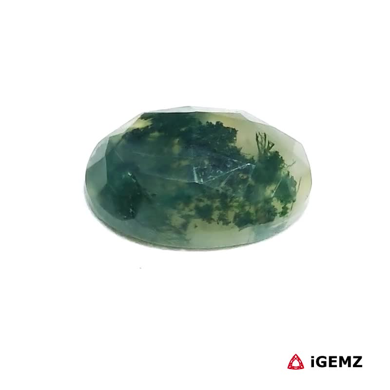 iGemz24395.1 5.3 ct Green Moss Agate - iGemz24395 gemstone for sale at igemz.co.za
