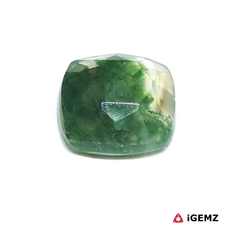 iGemz24401.1 6.22 ct Green Moss Agate - iGemz24401 gemstone for sale at igemz.co.za