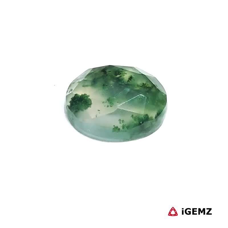 iGemz24404.1 3.33 ct Green Moss Agate - iGemz24404 gemstone for sale at igemz.co.za