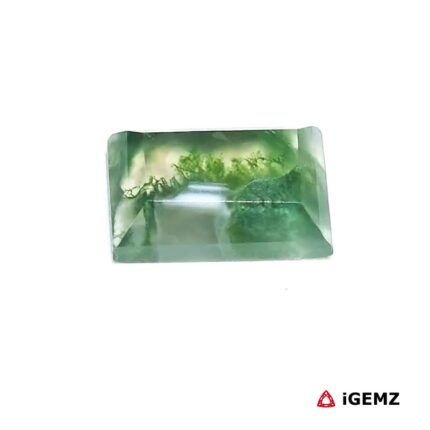 4 ct Green Moss Agate - iGemz24405