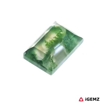 4 ct Green Moss Agate - iGemz24405