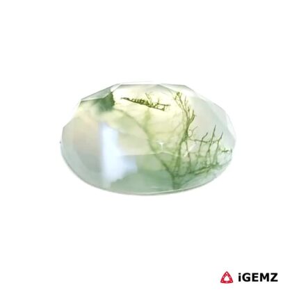5.26 ct Green Moss Agate - iGemz24411 gemstone for sale at igemz.co.za