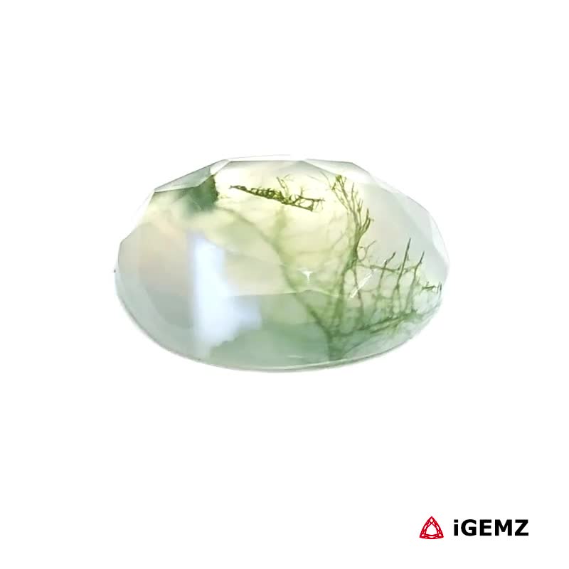 iGemz24411.1 5.26 ct Green Moss Agate - iGemz24411 gemstone for sale at igemz.co.za