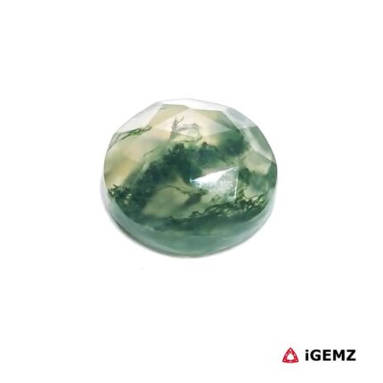 4.33 ct Green Moss Agate - iGemz24414